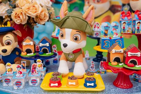 barra mansa, salaoconfortofestas, fotografo, fotografia, bebe, crianca, marcelino rodrigues, 3 ano, 3 aninhos, festa, aniversario infantil, infantil,  rj, evento, salao criancas familia filhos maesefilhos maternidade, salao conforto festa, cachorro'