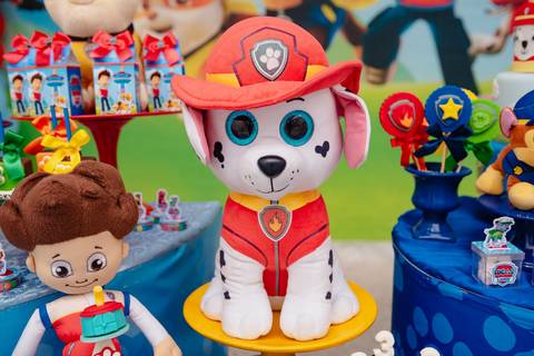 barra mansa, salaoconfortofestas, fotografo, fotografia, bebe, crianca, marcelino rodrigues, 3 ano, 3 aninhos, festa, aniversario infantil, infantil,  rj, evento, salao criancas familia filhos maesefilhos maternidade, salao conforto festa, cachorro'