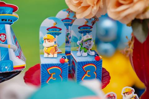 barra mansa, salaoconfortofestas, fotografo, fotografia, bebe, crianca, marcelino rodrigues, 3 ano, 3 aninhos, festa, aniversario infantil, infantil,  rj, evento, salao criancas familia filhos maesefilhos maternidade, salao conforto festa, cachorro'