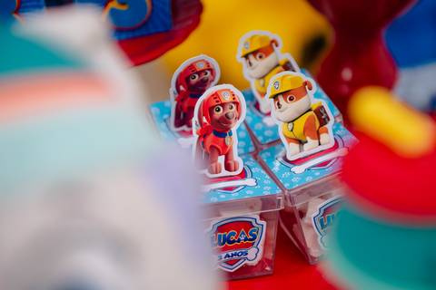 barra mansa, salaoconfortofestas, fotografo, fotografia, bebe, crianca, marcelino rodrigues, 3 ano, 3 aninhos, festa, aniversario infantil, infantil,  rj, evento, salao criancas familia filhos maesefilhos maternidade, salao conforto festa, cachorro'