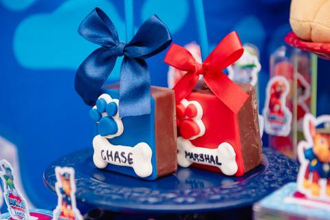 barra mansa, salaoconfortofestas, fotografo, fotografia, bebe, crianca, marcelino rodrigues, 3 ano, 3 aninhos, festa, aniversario infantil, infantil,  rj, evento, salao criancas familia filhos maesefilhos maternidade, salao conforto festa, cachorro'