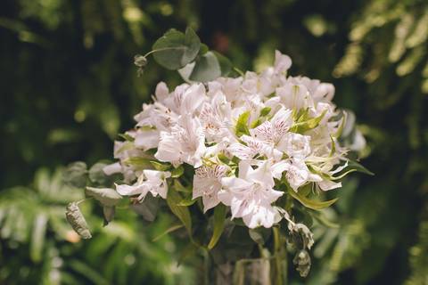casamento, civil, fotografia, barra mansa, volta redonda, Marcelino Rodrigues, fotografo, noiva, noivo, festa, amor, aliança, vestido, branco, matrimonio, religioso, pre wedding, ensaio, rio de janeiro'