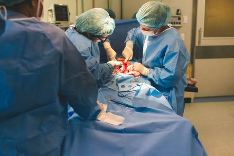 parto, cessaria, mamãe, papai, mãe, pai saúde, família, amor, menina, menino, gravidez, fotografia, barra mansa, volta redonda, rio de janeiro, pediatra, semana, hospital, santa maria, pós parto, Manuela'