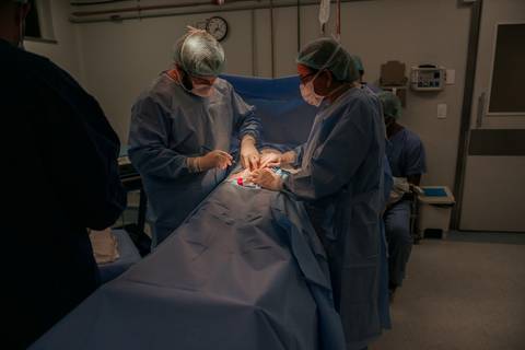 parto, cessaria, mamãe, papai, mãe, pai saúde, família, amor, menina, menino, gravidez, fotografia, barra mansa, volta redonda, rio de janeiro, pediatra, semana, hospital, santa maria, pós parto, Ravi'