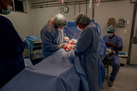 parto, cessaria, mamãe, papai, mãe, pai saúde, família, amor, menina, menino, gravidez, fotografia, barra mansa, volta redonda, rio de janeiro, pediatra, semana, hospital, santa maria, pós parto, Ravi'