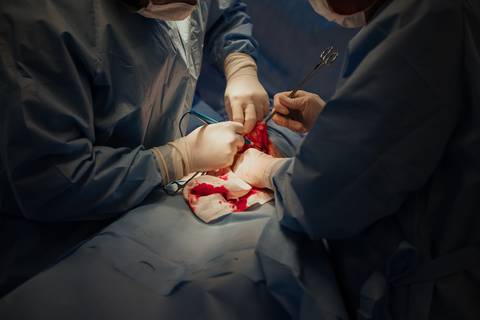 parto, cessaria, mamãe, papai, mãe, pai saúde, família, amor, menina, menino, gravidez, fotografia, barra mansa, volta redonda, rio de janeiro, pediatra, semana, hospital, santa maria, pós parto, Ravi'