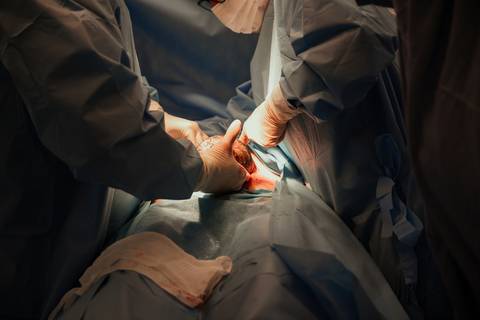 parto, cessaria, mamãe, papai, mãe, pai saúde, família, amor, menina, menino, gravidez, fotografia, barra mansa, volta redonda, rio de janeiro, pediatra, semana, hospital, santa maria, pós parto, Ravi'