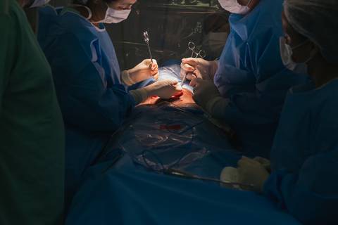 parto, cessaria, mamãe, papai, mãe, pai saúde, família, amor, menina, menino, gravidez, fotografia, barra mansa, volta redonda, rio de janeiro, pediatra, semana, hospital, unimed, pós parto, Heitor'