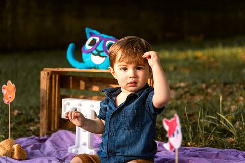 Smash the cake Theo 1 Ano Ensaio Realizado Bairro Colonia Barra Mansa - RJ'