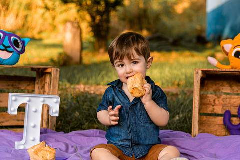 Smash the cake Theo 1 Ano Ensaio Realizado Bairro Colonia Barra Mansa - RJ'