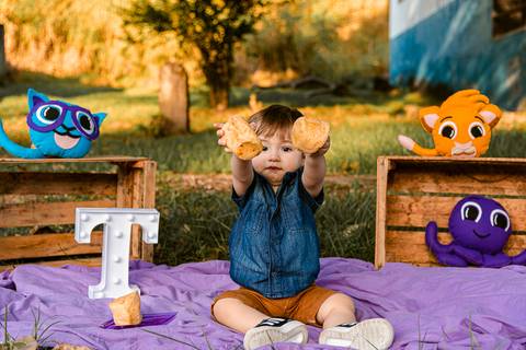 Smash the cake Theo 1 Ano Ensaio Realizado Bairro Colonia Barra Mansa - RJ'