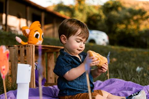 Smash the cake Theo 1 Ano Ensaio Realizado Bairro Colonia Barra Mansa - RJ'