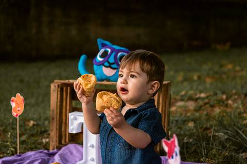 Smash the cake Theo 1 Ano Ensaio Realizado Bairro Colonia Barra Mansa - RJ'