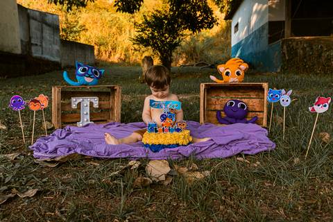 Smash the cake Theo 1 Ano Ensaio Realizado Bairro Colonia Barra Mansa - RJ'