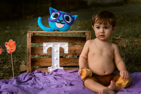 Smash the cake Theo 1 Ano Ensaio Realizado Bairro Colonia Barra Mansa - RJ'