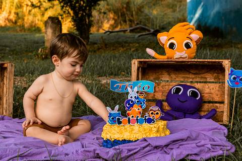 Smash the cake Theo 1 Ano Ensaio Realizado Bairro Colonia Barra Mansa - RJ'