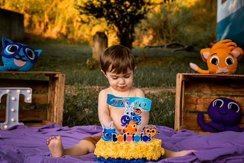 Smash the cake Theo 1 Ano Ensaio Realizado Bairro Colonia Barra Mansa - RJ'