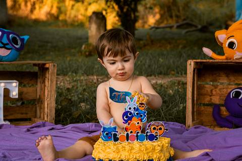 Smash the cake Theo 1 Ano Ensaio Realizado Bairro Colonia Barra Mansa - RJ'
