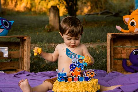 Smash the cake Theo 1 Ano Ensaio Realizado Bairro Colonia Barra Mansa - RJ'