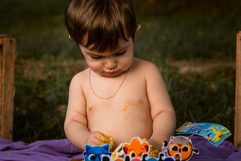 Smash the cake Theo 1 Ano Ensaio Realizado Bairro Colonia Barra Mansa - RJ'