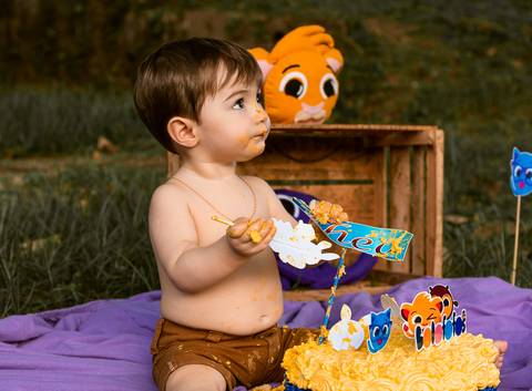 Smash the cake Theo 1 Ano Ensaio Realizado Bairro Colonia Barra Mansa - RJ'