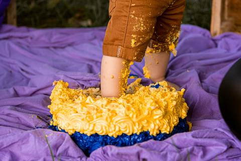 Smash the cake Theo 1 Ano Ensaio Realizado Bairro Colonia Barra Mansa - RJ'