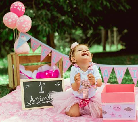 Smash The Cake Esther 1 Ano Ensaio Fotográfico Realizado Hotel Bela Vista VoltaRedonda - RJ'