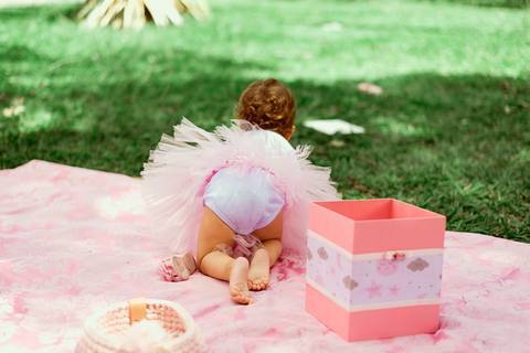 Smash The Cake Esther 1 Ano Ensaio Fotográfico Realizado Hotel Bela Vista VoltaRedonda - RJ'