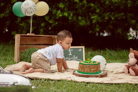 Smash The Cake Samuel 1 Ano Ensaio Fotográfico Realizado Hotel Bela Vista VoltaRedonda - RJ'