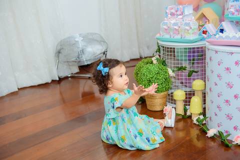 Aniversario Infantil 1 ano  Manuela Barra Mansa - RJ'