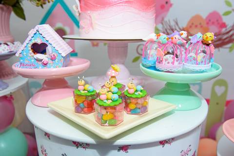 Aniversario Infantil 1 ano  Manuela Barra Mansa - RJ'