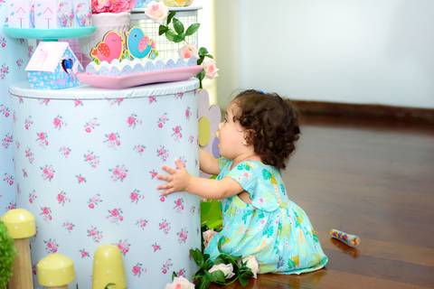 Aniversario Infantil 1 ano  Manuela Barra Mansa - RJ'