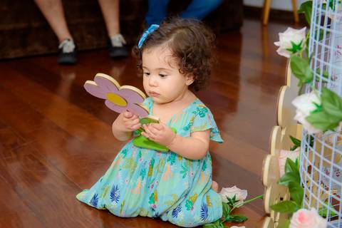 Aniversario Infantil 1 ano  Manuela Barra Mansa - RJ'
