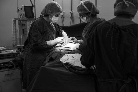 Casa de Saúde Santa Maria Barra Mansa
Parto Menino Fotografo Marcelino Rodrigues '