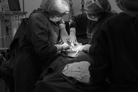 Casa de Saúde Santa Maria Barra Mansa
Parto Menino Fotografo Marcelino Rodrigues '