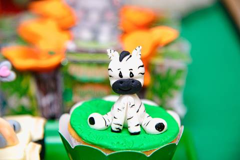 TicTac Barra Mansa Fotografia Fotografo Festa Infantil 1 Ano'