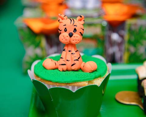 TicTac Barra Mansa Fotografia Fotografo Festa Infantil 1 Ano'