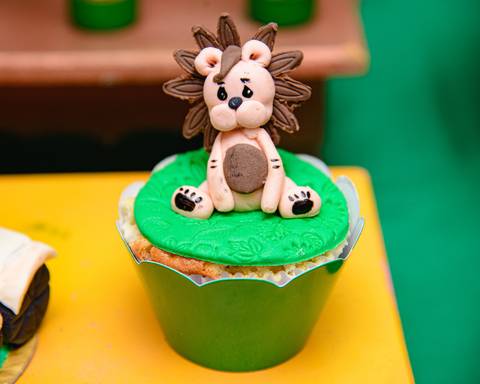 TicTac Barra Mansa Fotografia Fotografo Festa Infantil 1 Ano'