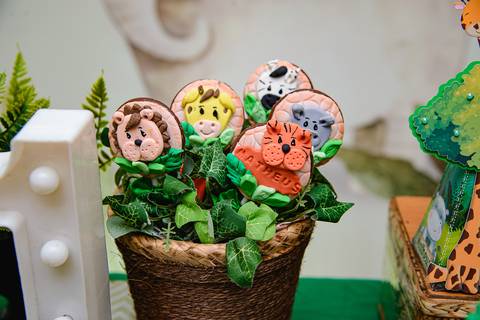 TicTac Barra Mansa Fotografia Fotografo Festa Infantil 1 Ano'