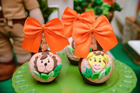 TicTac Barra Mansa Fotografia Fotografo Festa Infantil 1 Ano'