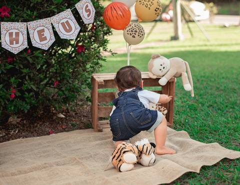 Smash the cake Barra Mansa Fotografia Fotografo Festa Infantil 1 Ano Safari'