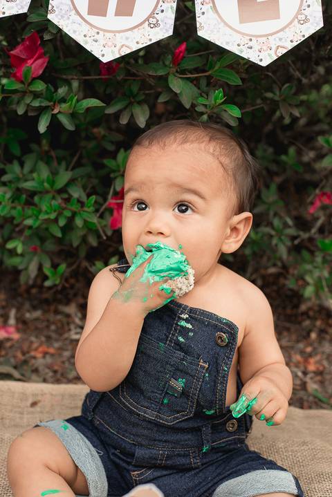Smash the cake Barra Mansa Fotografia Fotografo Festa Infantil 1 Ano Safari'
