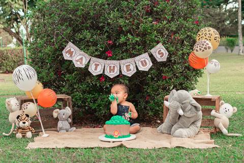 Smash the cake Barra Mansa Fotografia Fotografo Festa Infantil 1 Ano Safari'