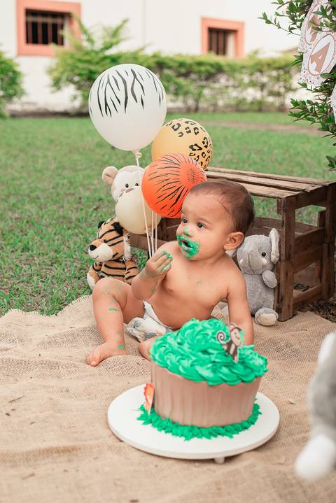 Smash the cake Barra Mansa Fotografia Fotografo Festa Infantil 1 Ano Safari'