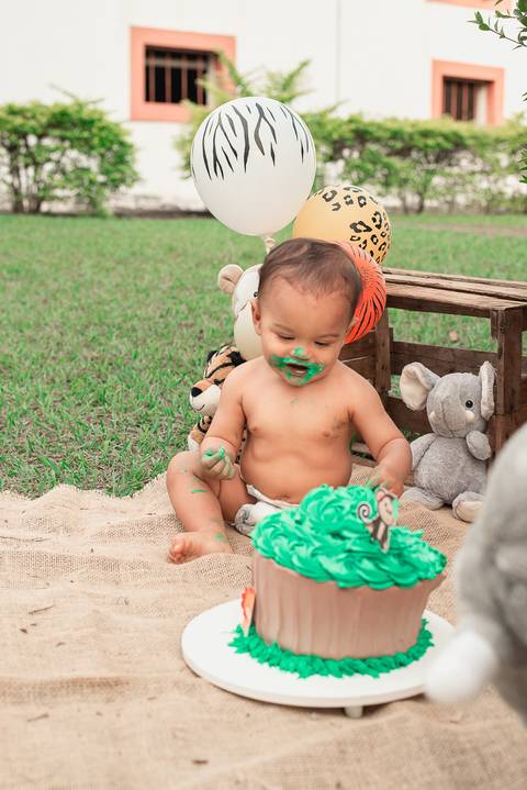 Smash the cake Barra Mansa Fotografia Fotografo Festa Infantil 1 Ano Safari'