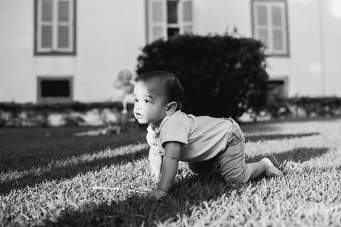 Smash the cake Barra Mansa Fotografia Fotografo Festa Infantil 1 Ano Safari'