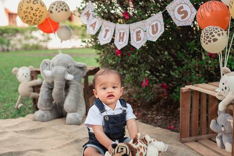 Smash the cake Barra Mansa Fotografia Fotografo Festa Infantil 1 Ano Safari'