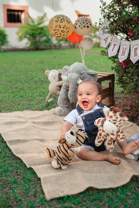 Smash the cake Barra Mansa Fotografia Fotografo Festa Infantil 1 Ano Safari'