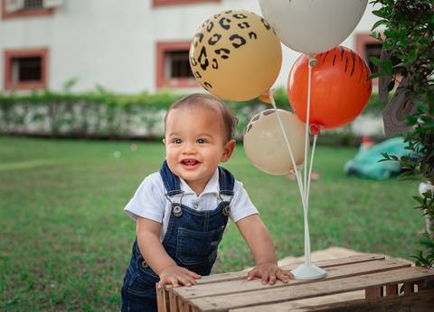 Smash the cake Barra Mansa Fotografia Fotografo Festa Infantil 1 Ano Safari'