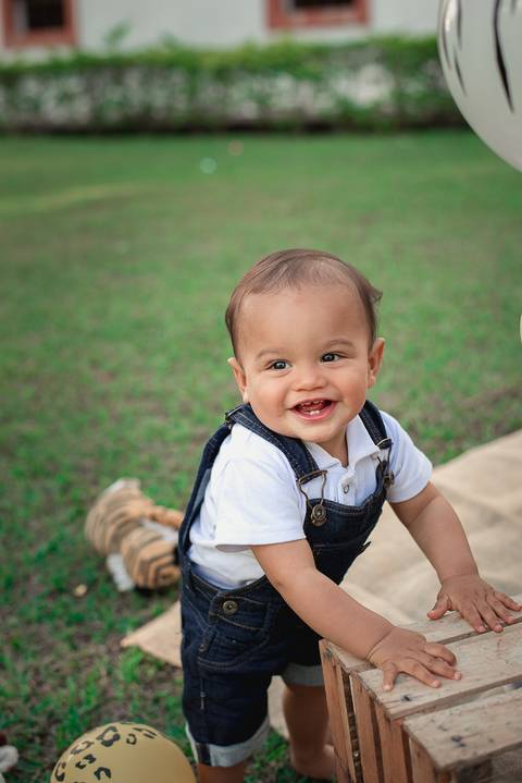 Smash the cake Barra Mansa Fotografia Fotografo Festa Infantil 1 Ano Safari'